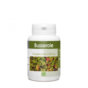 BUSSEROLE - 250 MG - 100 GÉLULES